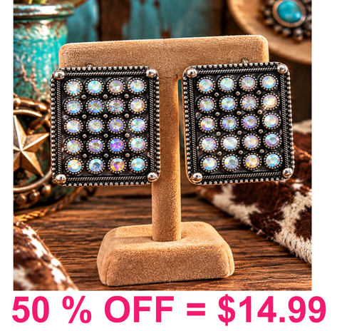 Western Rectangle w/Rhinestone Post Earring