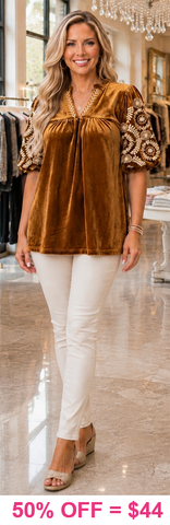 Brown Golden Velvet embroidery blouse