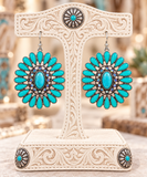 Southwest Style Bling Earrings