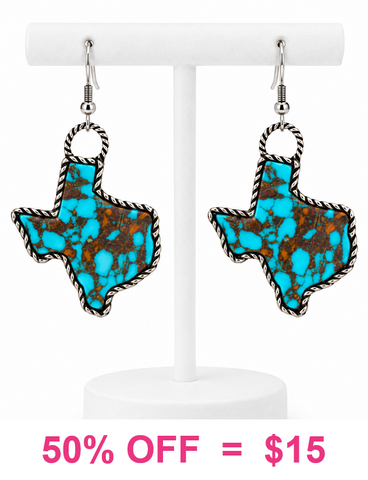 Turquoise & Brown Texas Earrings
